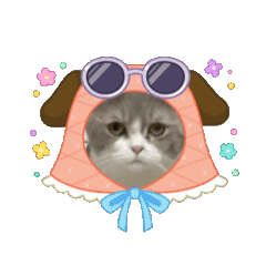 可愛的島灰灰灰