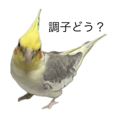 Hitoto_20251013135524