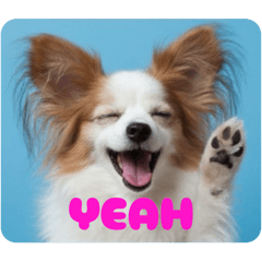 MIMII-chan kawaii stamp