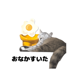 mikan_20251013134221