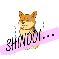 メルちゃん体調不良