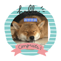 matsu_20251013162635