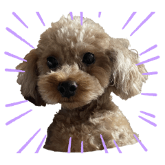 Haruka_20251013201101