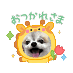 Tommy_20251013204041