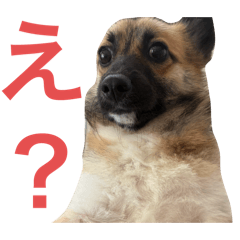 mochi_20251013214615