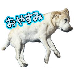 karin_20251013201927