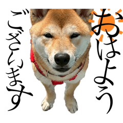 HARUNA_20251013202846