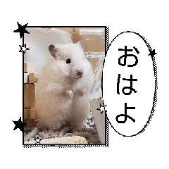 SUGAR_20251013232301