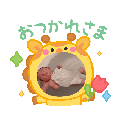 hana_20251014000132