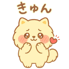 Fluffy Pomeranian's Daily Chill & Vibe