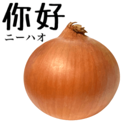 Domestic Onions 19