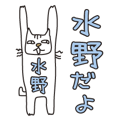 Only for Mr. Mizuno Banzai Cat