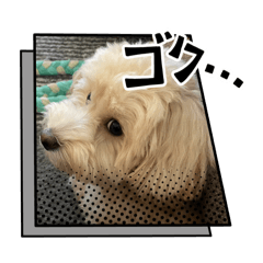 Yuka_20251013202947