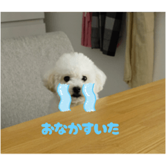 anna_20251013204937