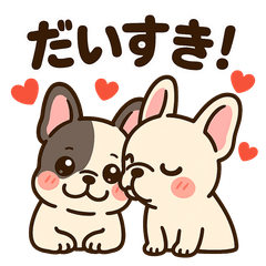 French Bulldog Couple