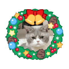 島灰灰的holidays