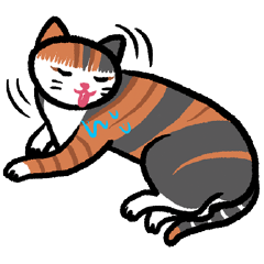 Huangmiz's calico cat