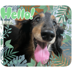 Haruka_20251013180529