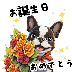 Everyday Usable Cute Adult BostonTerrier