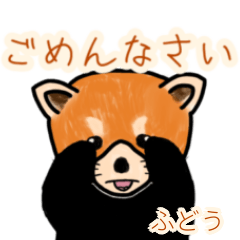 Fudou's lesser panda
