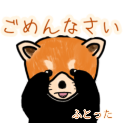 Futotta's lesser panda