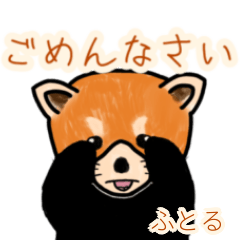Futoru's lesser panda