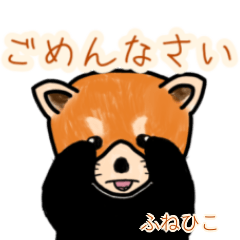 Funehiko's lesser panda