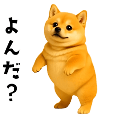 動く！おデブな柴犬2