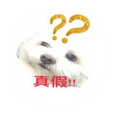 Geely's life