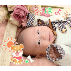 miomiostamp happy100days