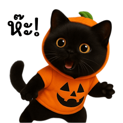 Cute Pumpkin Black Kitty