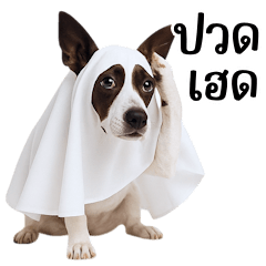 Dog Gang, The Ghosts Are Here