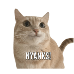 nanami_20251013175347