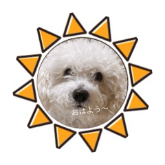 Michan_20251013224903