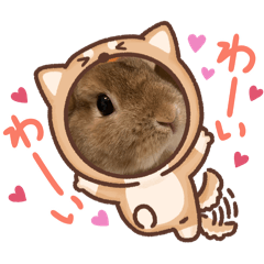 haruna_20251013223606