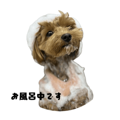 m_20251013225700