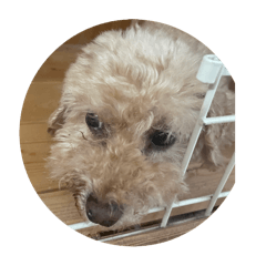 Chihiro_20251013231522