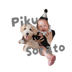 suzu_20251013232901
