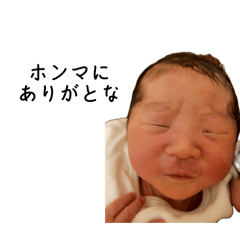 tanaka kun_20251014010131