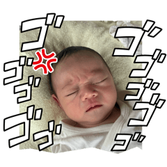 sho shimizu_20251014011544