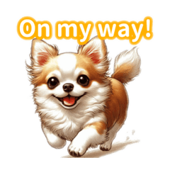 Adorably Cute Chihuahua