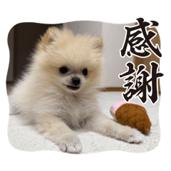 enayuda_20251014125620