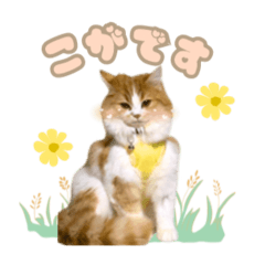 karensan_20251014130457