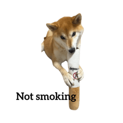 re_20251014110818