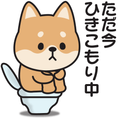 やる気のない〇しばいぬ