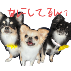 yumi_20251014003457