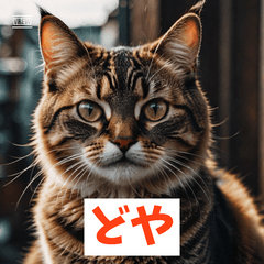 Mofu Cat Emotions