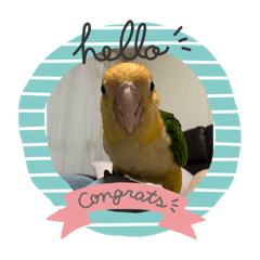 sunaba_20251014131957