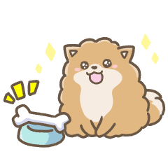 いやしの日常 ポメラニアン編2