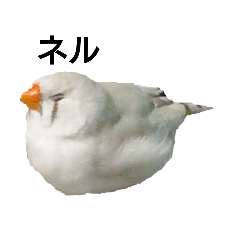 KAORI_20251014080551